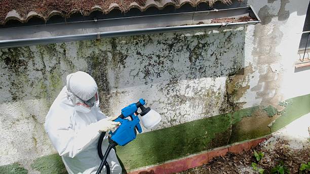 Top rated local Attic Mold Remediation specialists in Troutville, PA